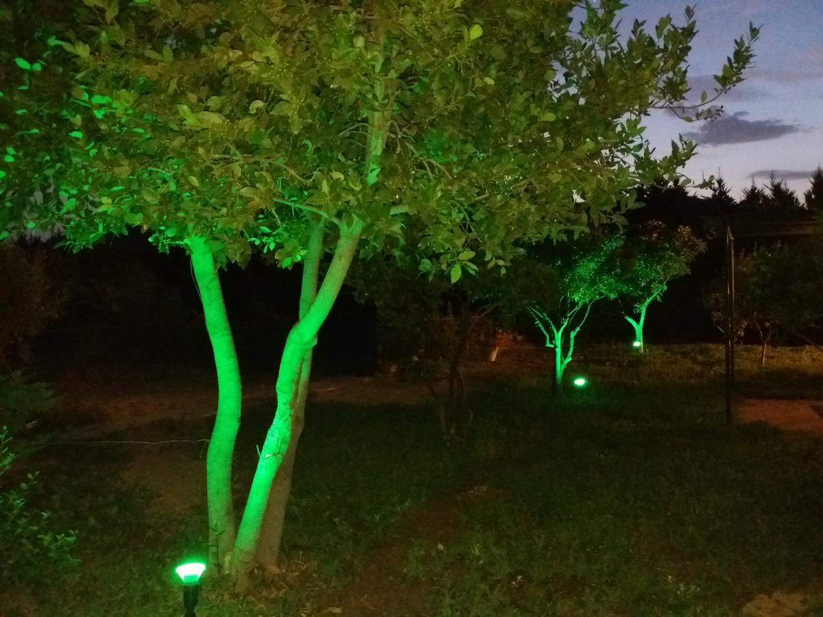 אנביסוס Anavissos Apartment מראה חיצוני תמונה